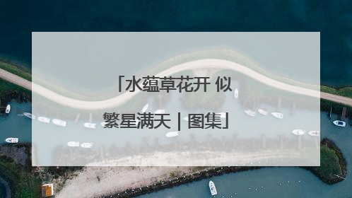 水蕴草花开 似繁星满天｜图集