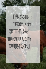 永兴县：“党建+五事工作法”推动基层治理现代化