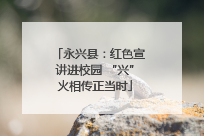 永兴县：红色宣讲进校园 “兴”火相传正当时