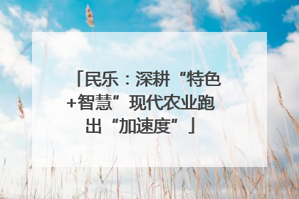 民乐：深耕“特色+智慧”现代农业跑出“加速度”