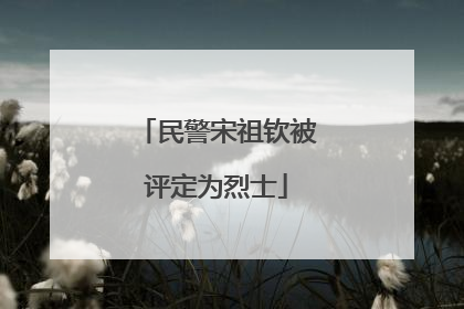 民警宋祖钦被评定为烈士