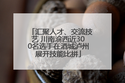 汇聚人才、交流技艺 川南渝西近300名选手在酒城泸州展开技能比拼