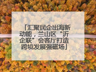 汇聚民企出海新动能，兰山区“沂企联”会客厅打造跨境发展强磁场