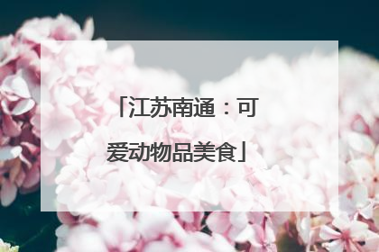 江苏南通：可爱动物品美食
