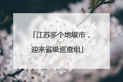 江苏多个地级市，迎来省级巡查组