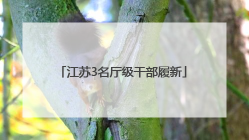 江苏3名厅级干部履新