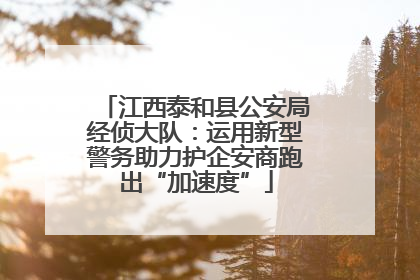 江西泰和县公安局经侦大队：运用新型警务助力护企安商跑出“加速度”