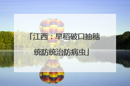 江西：早稻破口抽穗 统防统治防病虫