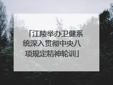 江陵举办卫健系统深入贯彻中央八项规定精神轮训
