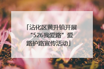 沾化区黄升镇开展“526我爱路”爱路护路宣传活动