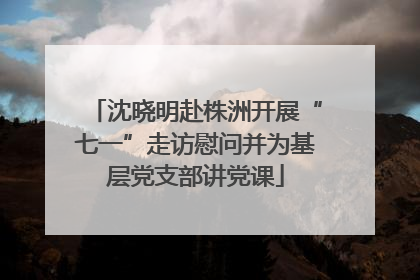 沈晓明赴株洲开展“七一”走访慰问并为基层党支部讲党课
