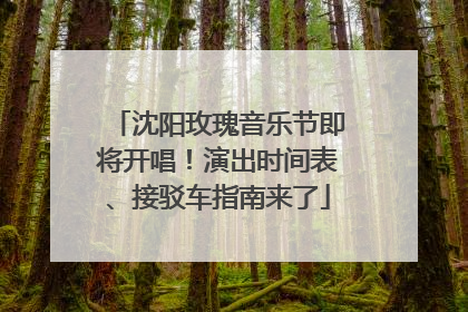 沈阳玫瑰音乐节即将开唱！演出时间表、接驳车指南来了