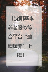 沈阳基本养老服务综合平台“盛情康养”上线