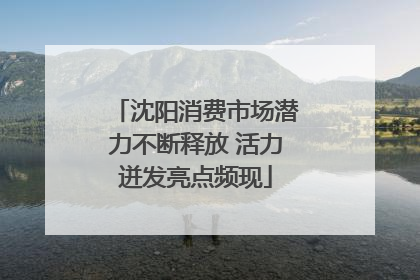 沈阳消费市场潜力不断释放 活力迸发亮点频现