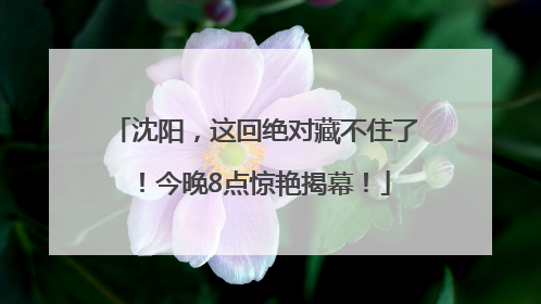 沈阳，这回绝对藏不住了！今晚8点惊艳揭幕！