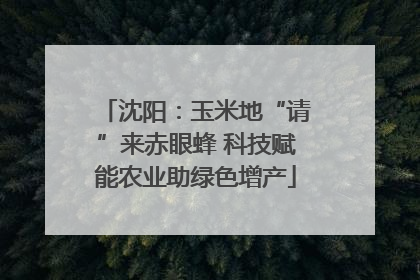 沈阳：玉米地“请”来赤眼蜂 科技赋能农业助绿色增产