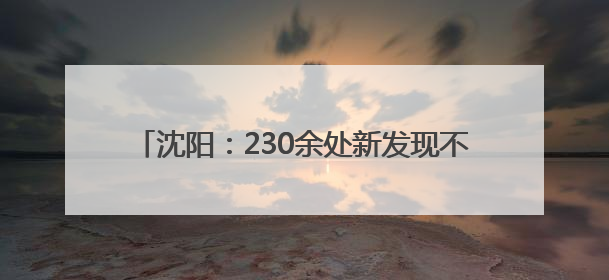 沈阳：230余处新发现不可移动文物重现城市记忆