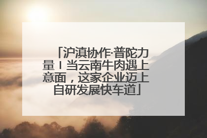 沪滇协作·普陀力量〡当云南牛肉遇上意面，这家企业迈上自研发展快车道