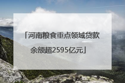 河南粮食重点领域贷款余额超2595亿元