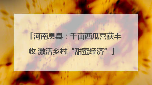 河南息县：千亩西瓜喜获丰收 激活乡村“甜蜜经济”