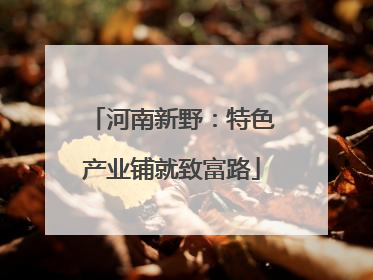 河南新野：特色产业铺就致富路