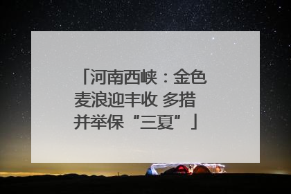 河南西峡：金色麦浪迎丰收 多措并举保“三夏”