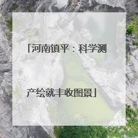 河南镇平：科学测产绘就丰收图景