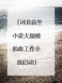 河北省冬小麦大规模机收工作全面启动