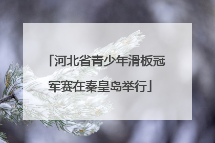 河北省青少年滑板冠军赛在秦皇岛举行