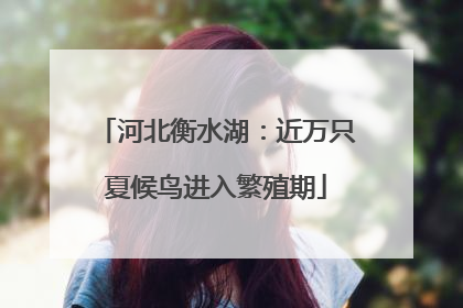 河北衡水湖：近万只夏候鸟进入繁殖期