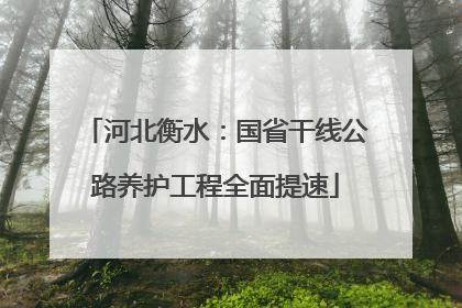 河北衡水：国省干线公路养护工程全面提速
