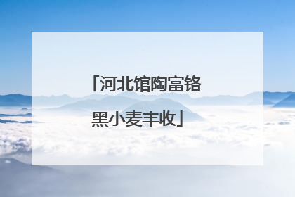河北馆陶富铬黑小麦丰收
