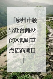 泉州市领导赴台商投资区调研重点招商项目