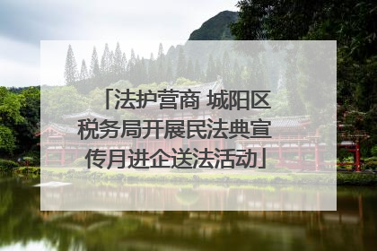 法护营商 城阳区税务局开展民法典宣传月进企送法活动