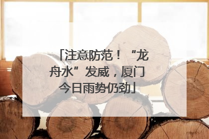 注意防范！“龙舟水”发威，厦门今日雨势仍劲