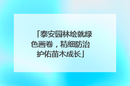 泰安园林绘就绿色画卷，精细防治护佑苗木成长