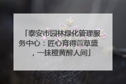 泰安市园林绿化管理服务中心：匠心育得萱草盛，一抹橙黄醉人间