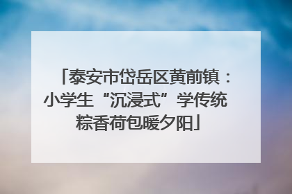 泰安市岱岳区黄前镇：小学生“沉浸式”学传统 粽香荷包暖夕阳
