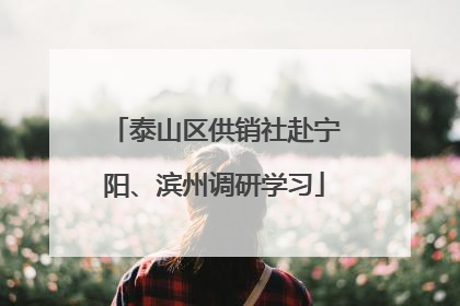 泰山区供销社赴宁阳、滨州调研学习