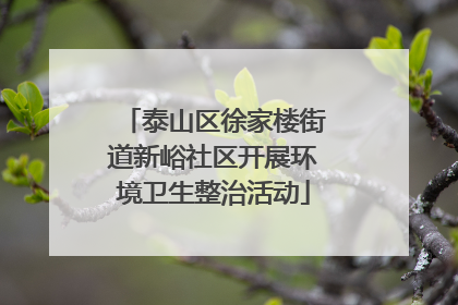 泰山区徐家楼街道新峪社区开展环境卫生整治活动