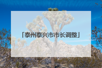 泰州泰兴市市长调整