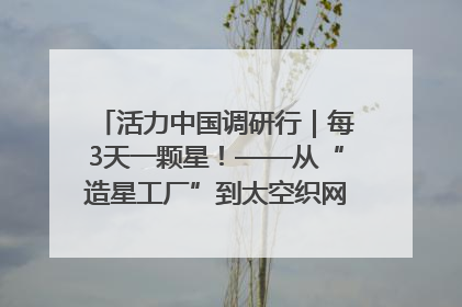 活力中国调研行｜每3天一颗星！——从“造星工厂”到太空织网的“银河速度”