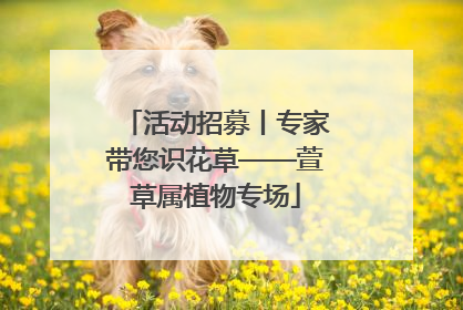 活动招募丨专家带您识花草——萱草属植物专场