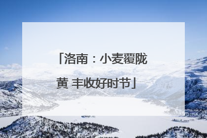 洛南：小麦覆陇黄 丰收好时节