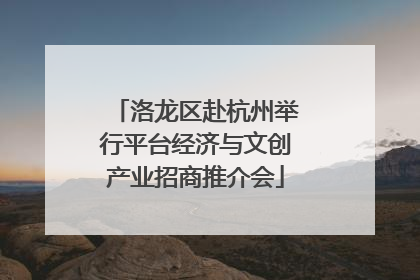 洛龙区赴杭州举行平台经济与文创产业招商推介会