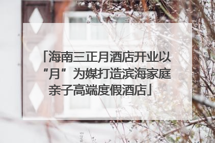 海南三正月酒店开业以“月”为媒打造滨海家庭亲子高端度假酒店