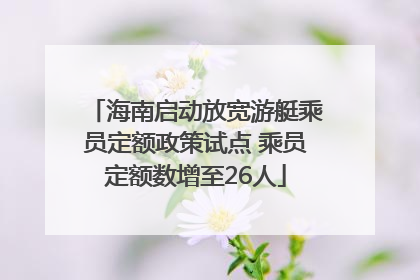 海南启动放宽游艇乘员定额政策试点 乘员定额数增至26人