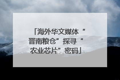 海外华文媒体“晋南粮仓”探寻“农业芯片”密码