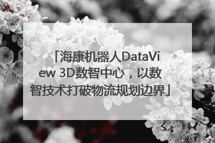 海康机器人DataView 3D数智中心，以数智技术打破物流规划边界