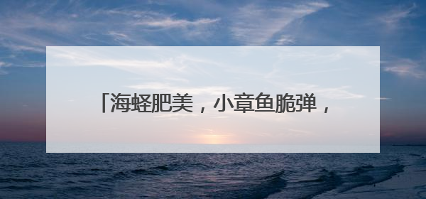 海蛏肥美，小章鱼脆弹，每一种都是大海的馈赠——夏日到海边 就爱那口鲜